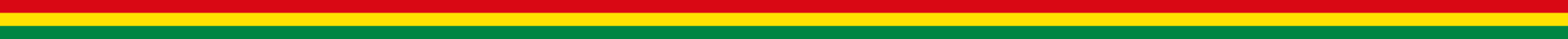 Horizontal stripes of red, yellow, and green, resembling a flag.