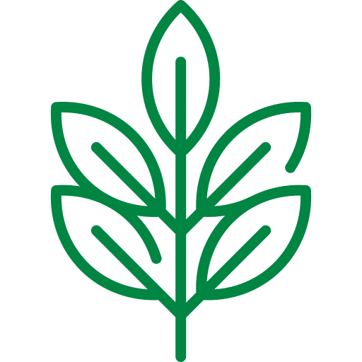 Green outline of a stylized leaf with five sections.